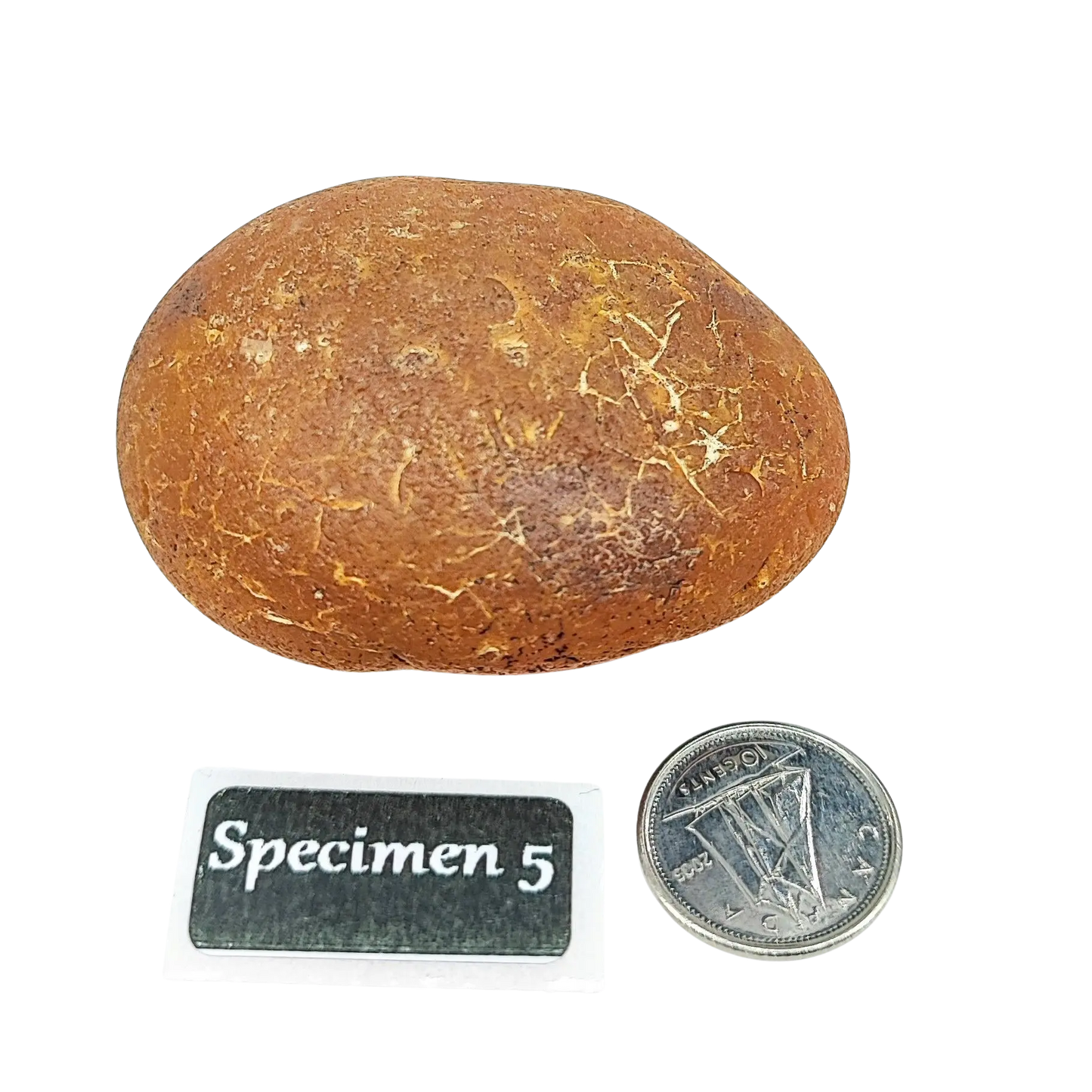 Stone -Natural Palm Agate -Rough -Rough -Aromes Evasions