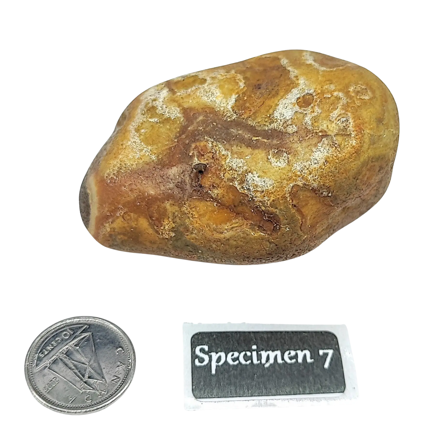 Stone -Natural Palm Agate -Rough -Rough -Aromes Evasions