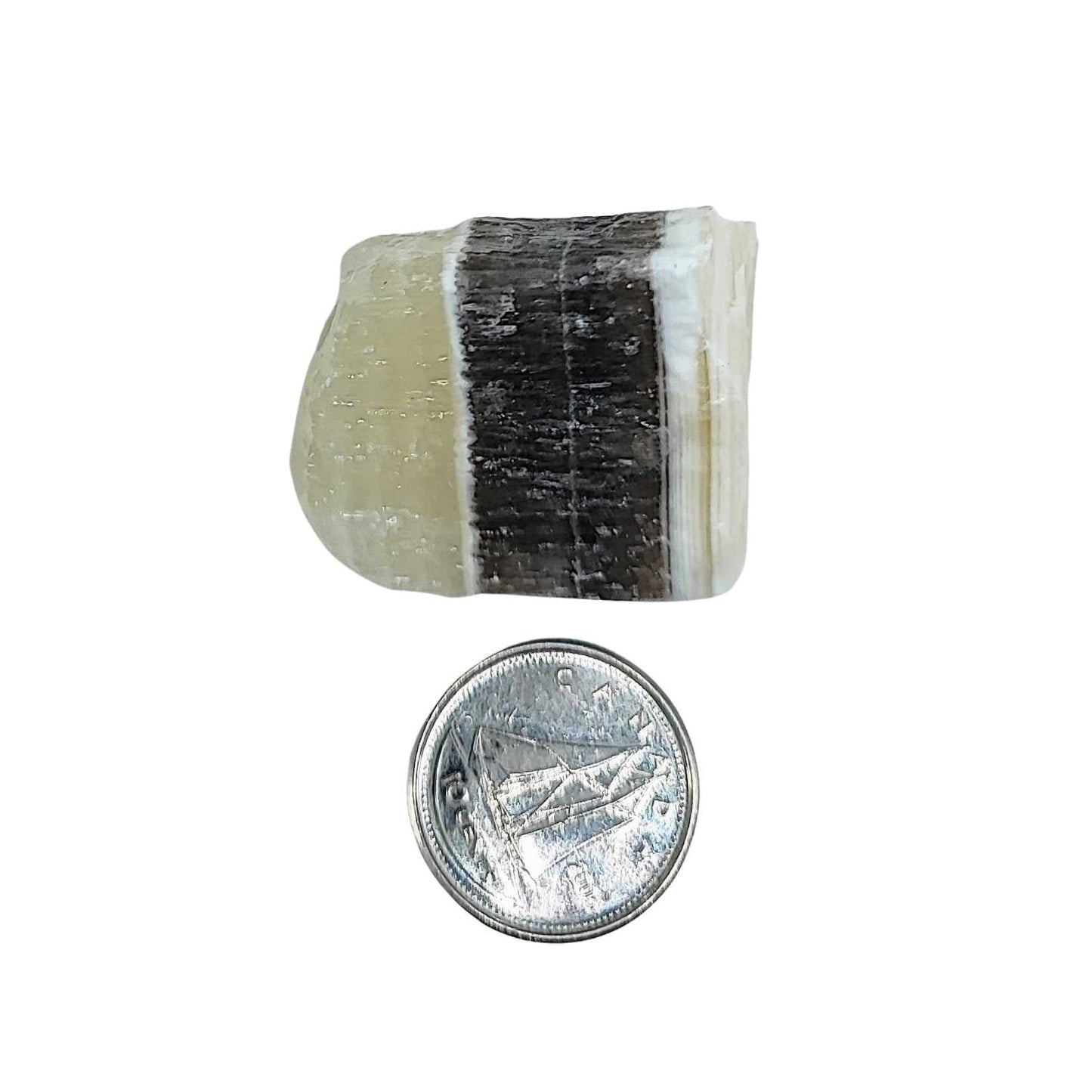 Stone -Zebra Onyx -Rough