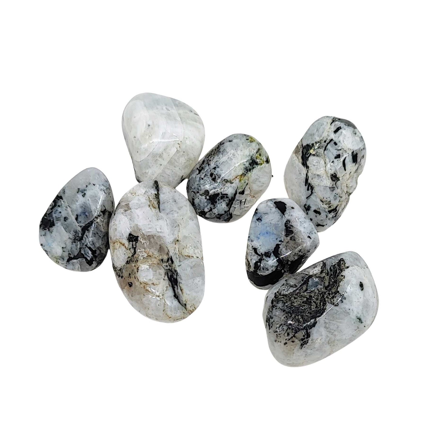 Stone -Rainbow Moonstone -Tumbled