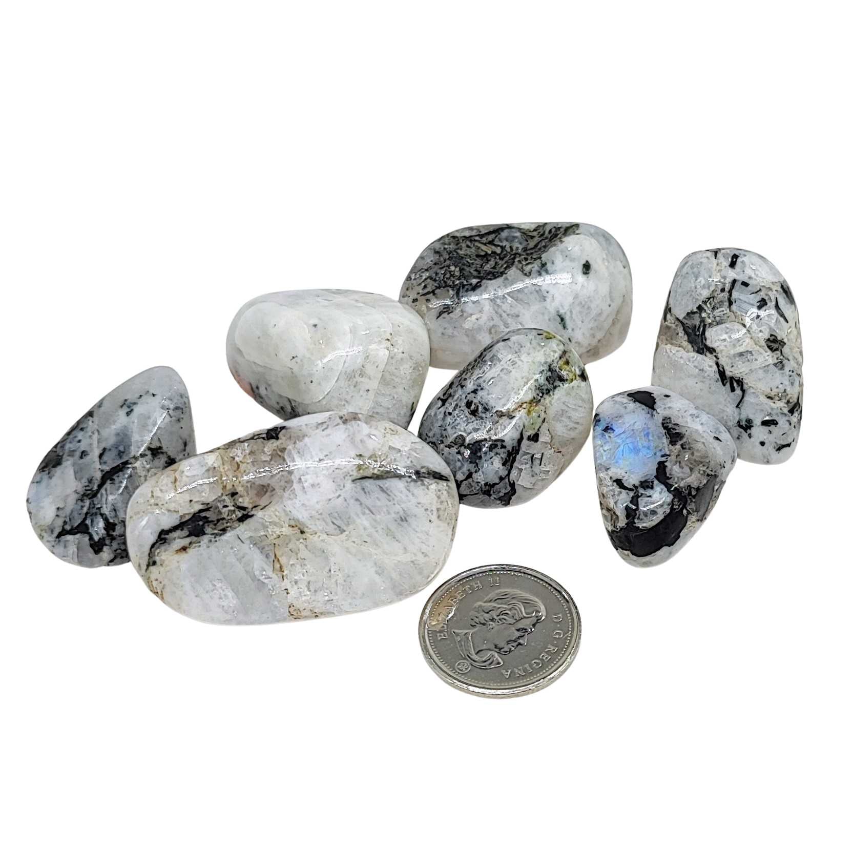 Stone -Rainbow Moonstone -Tumbled