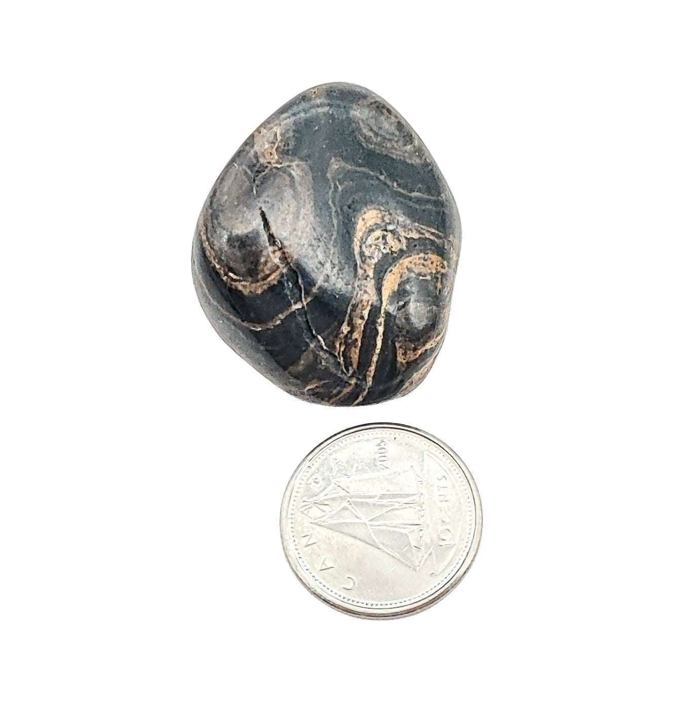 Stone -Stromatolite -Tumbled -Medium