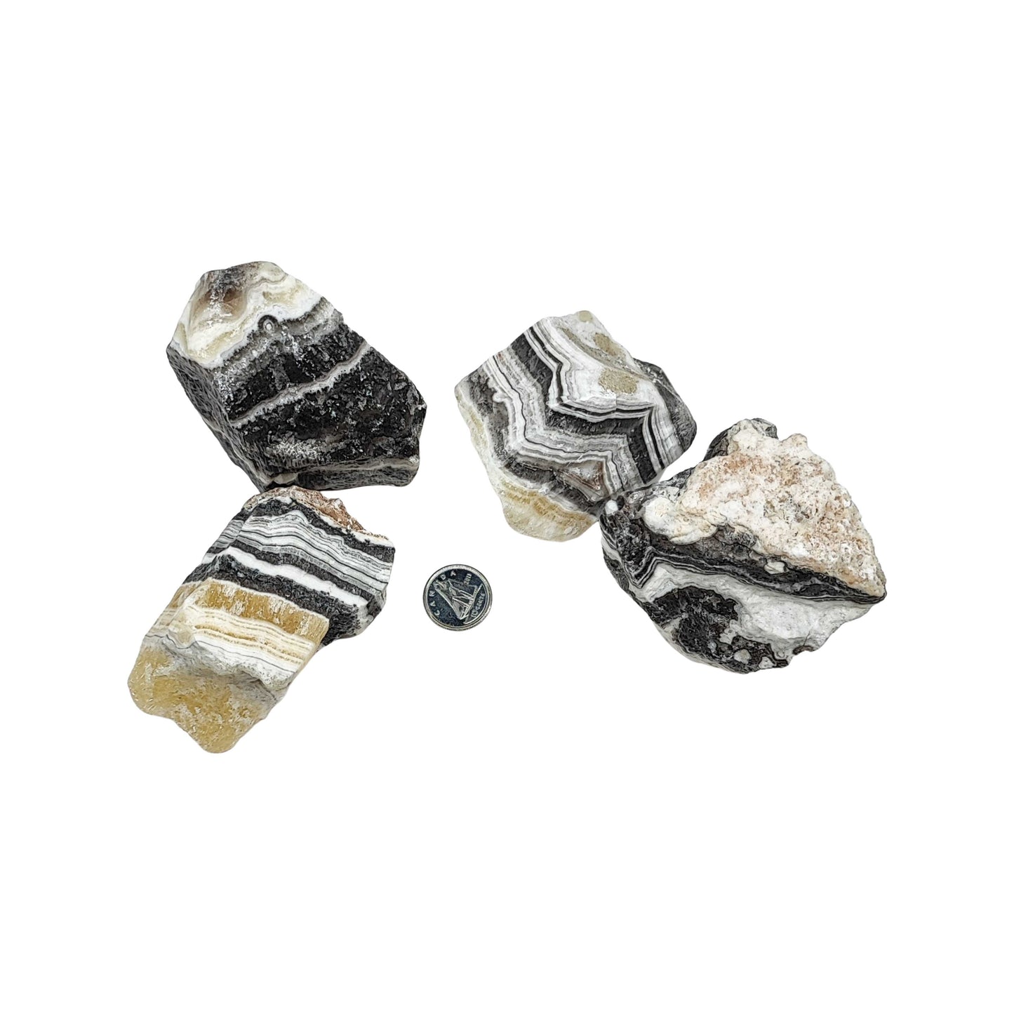 Stone - Zebra Calcite - Rough - Specimen - 100g to 199g