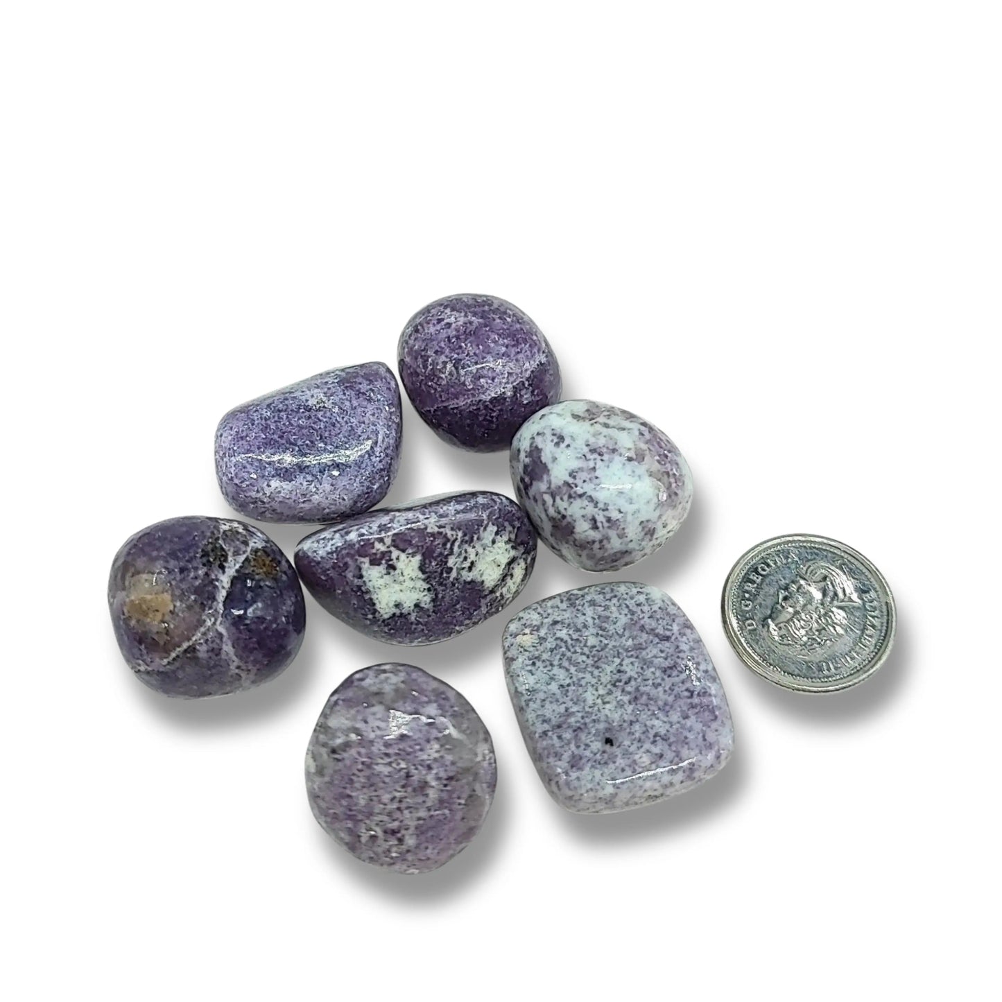Stone - Lepidolite - Tumbled