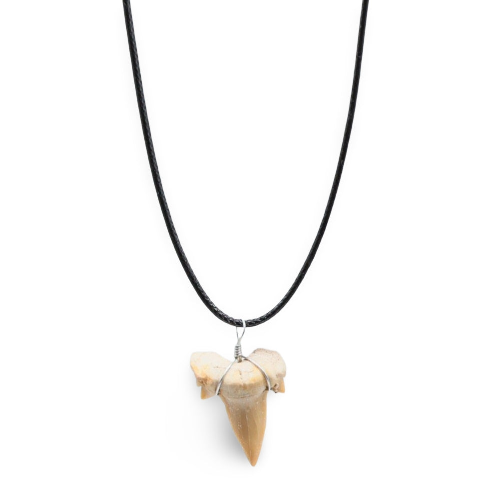 Collier - Dent de Requin