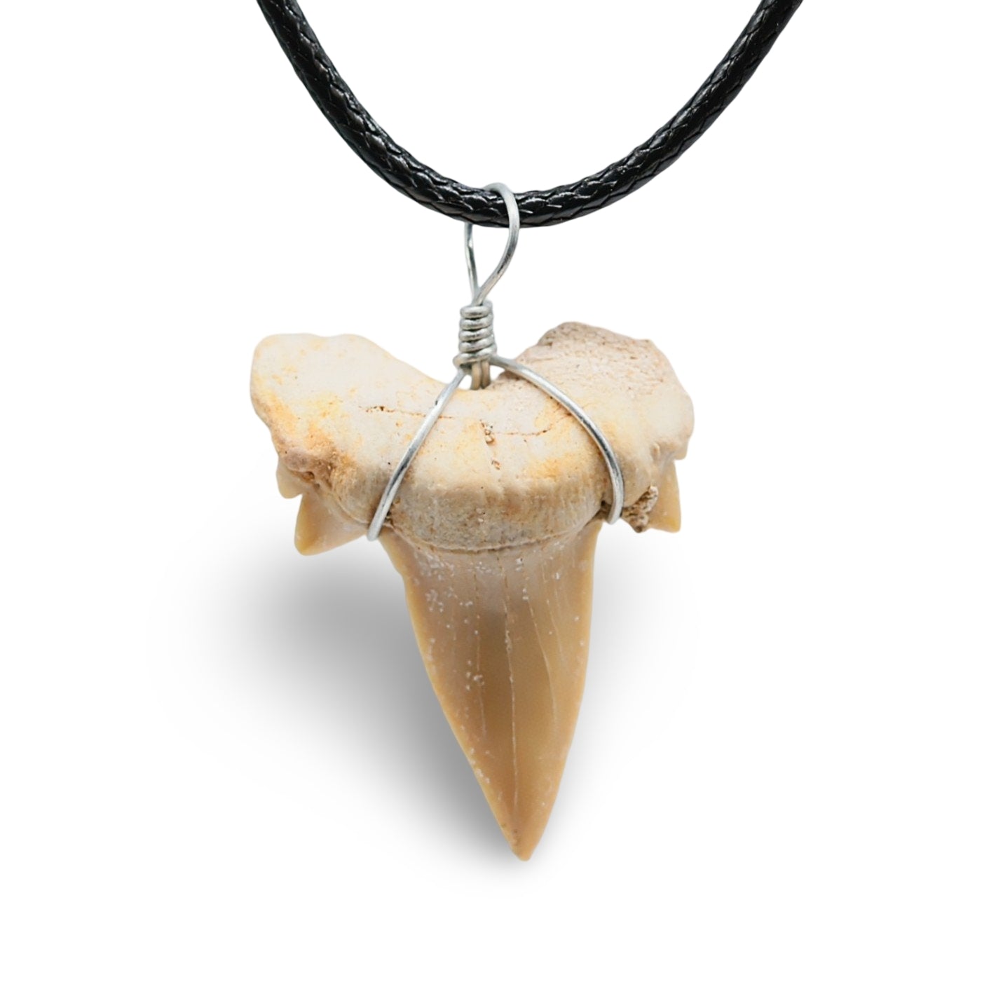 Collier - Dent de Requin