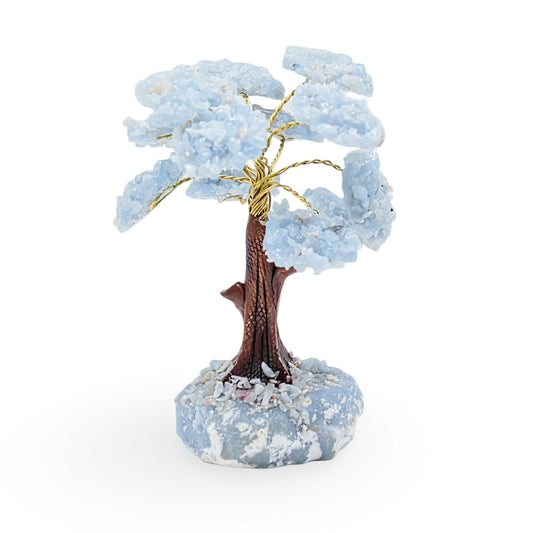 Déco Maison - Arbre - Pierres Précieuses - Angélite - 4.75"H