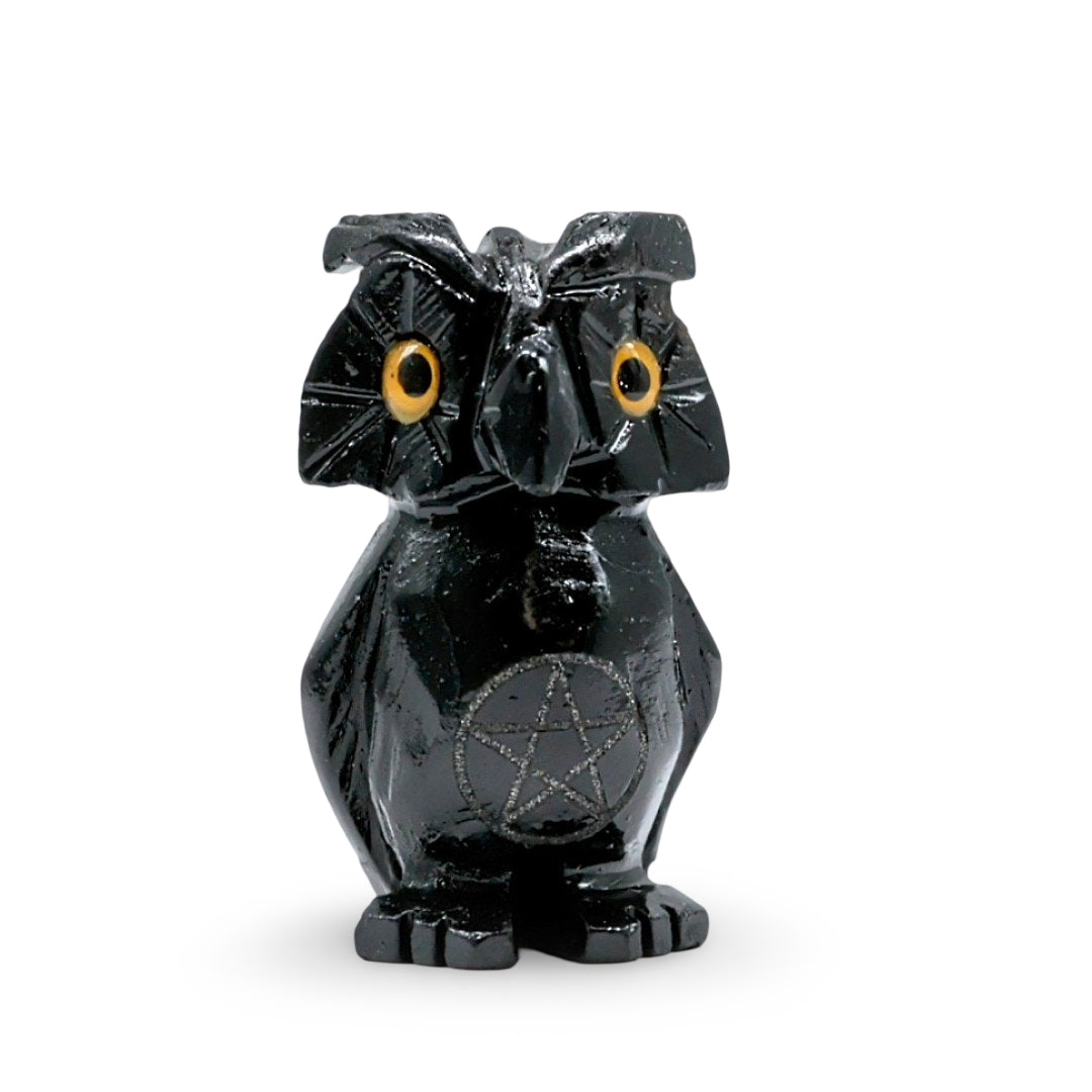 Spirit Animal - Carved Stone - Black Onyx - Owl with Pentacle