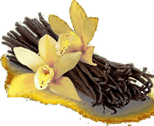 Fragrance Oil - Vanilla