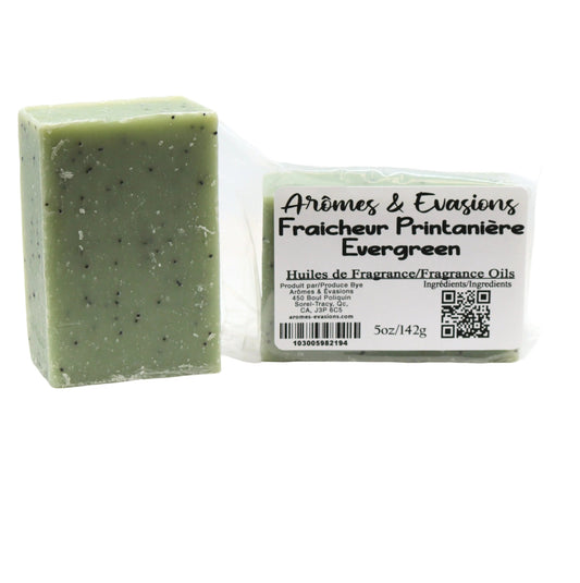 Soap Bar - Cold Process - Evergreen - 5oz -Woody Scent -Arômes & Évasions