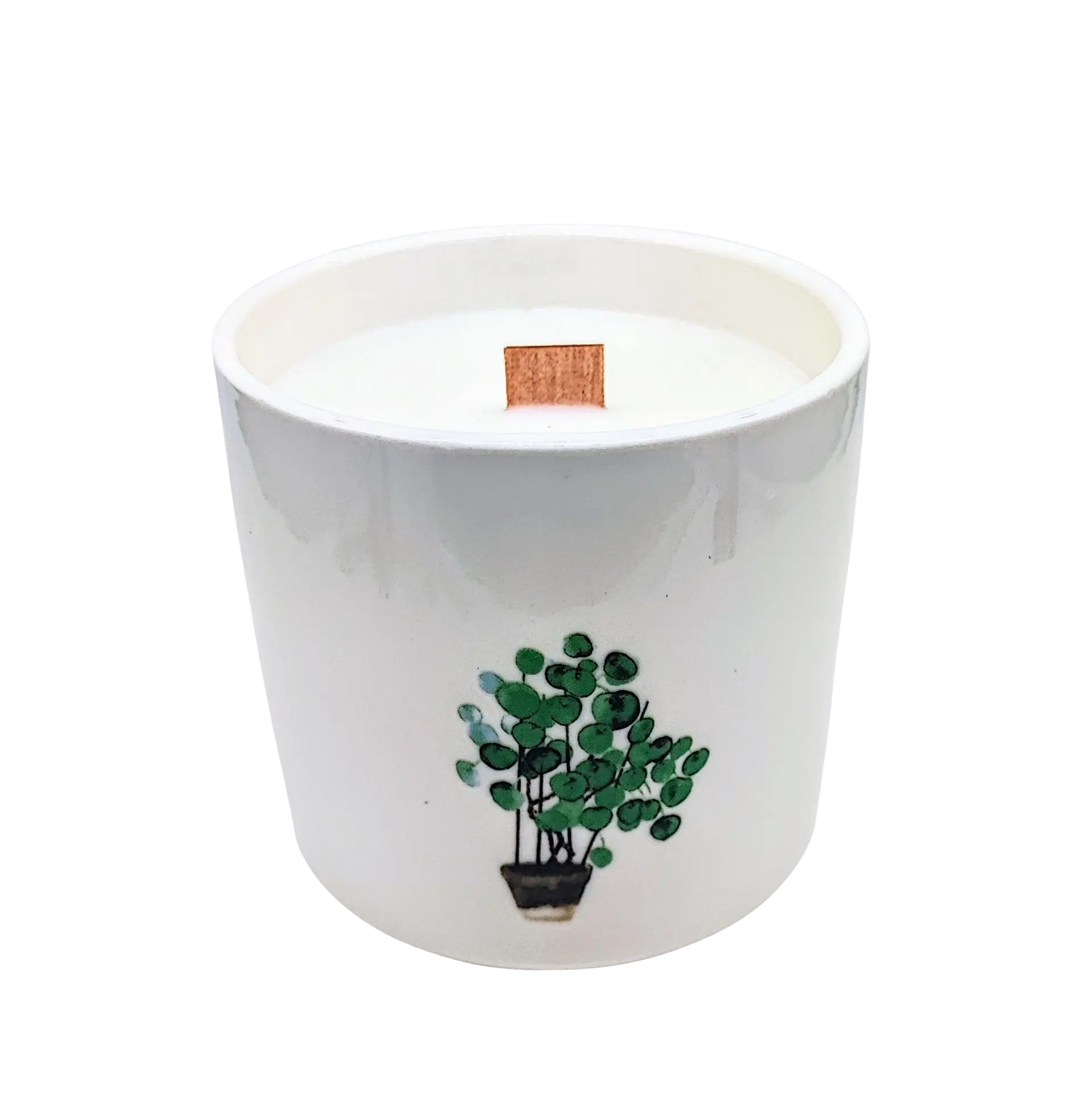 Soy Candle -Botanical Candle -Japanese Garden Plant