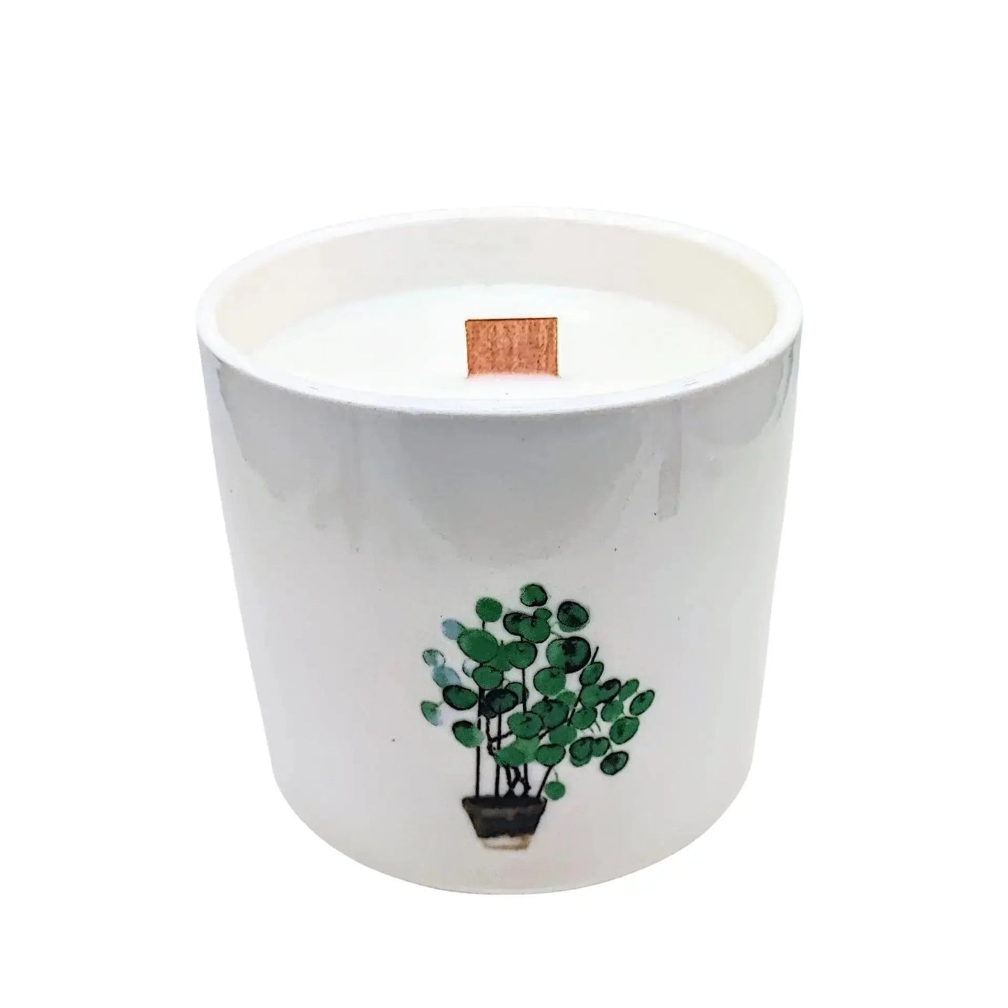 Scented Soy Candle - Botanical Garden - Wild Jasmine -Soy Candle -Arômes & Évasions