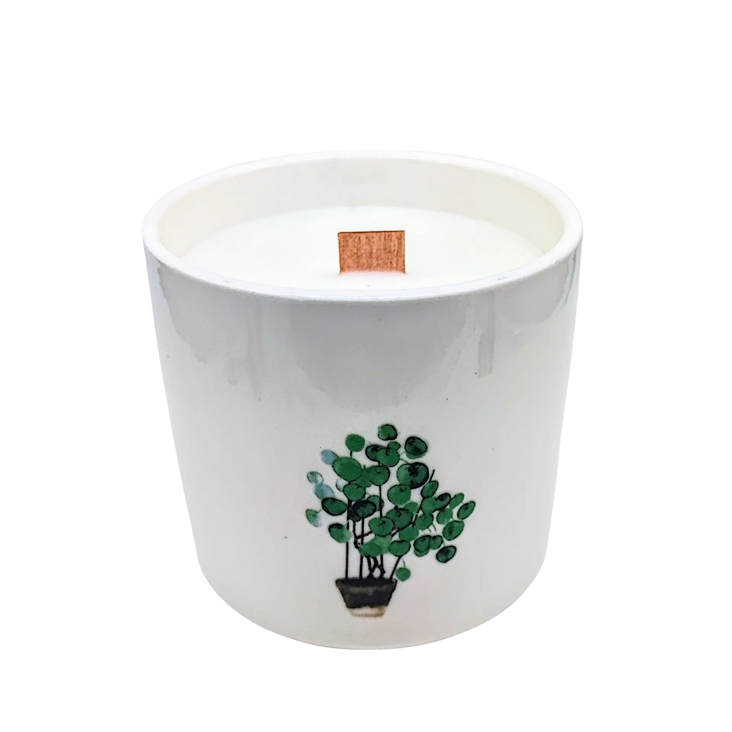 Soy Candle -Botanical Garden -Marsh Viola Plant