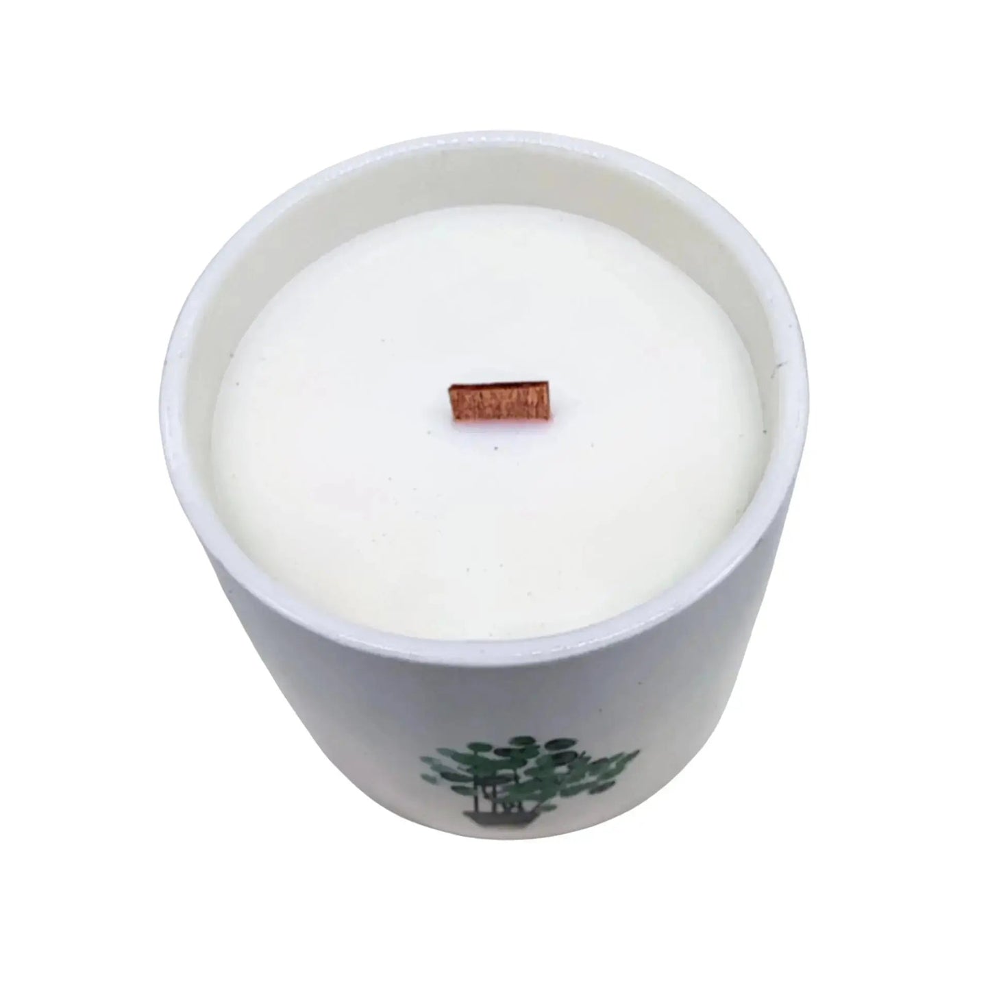 Scented Soy Candle - Botanical Garden - Wild Jasmine -Soy Candle -Arômes & Évasions