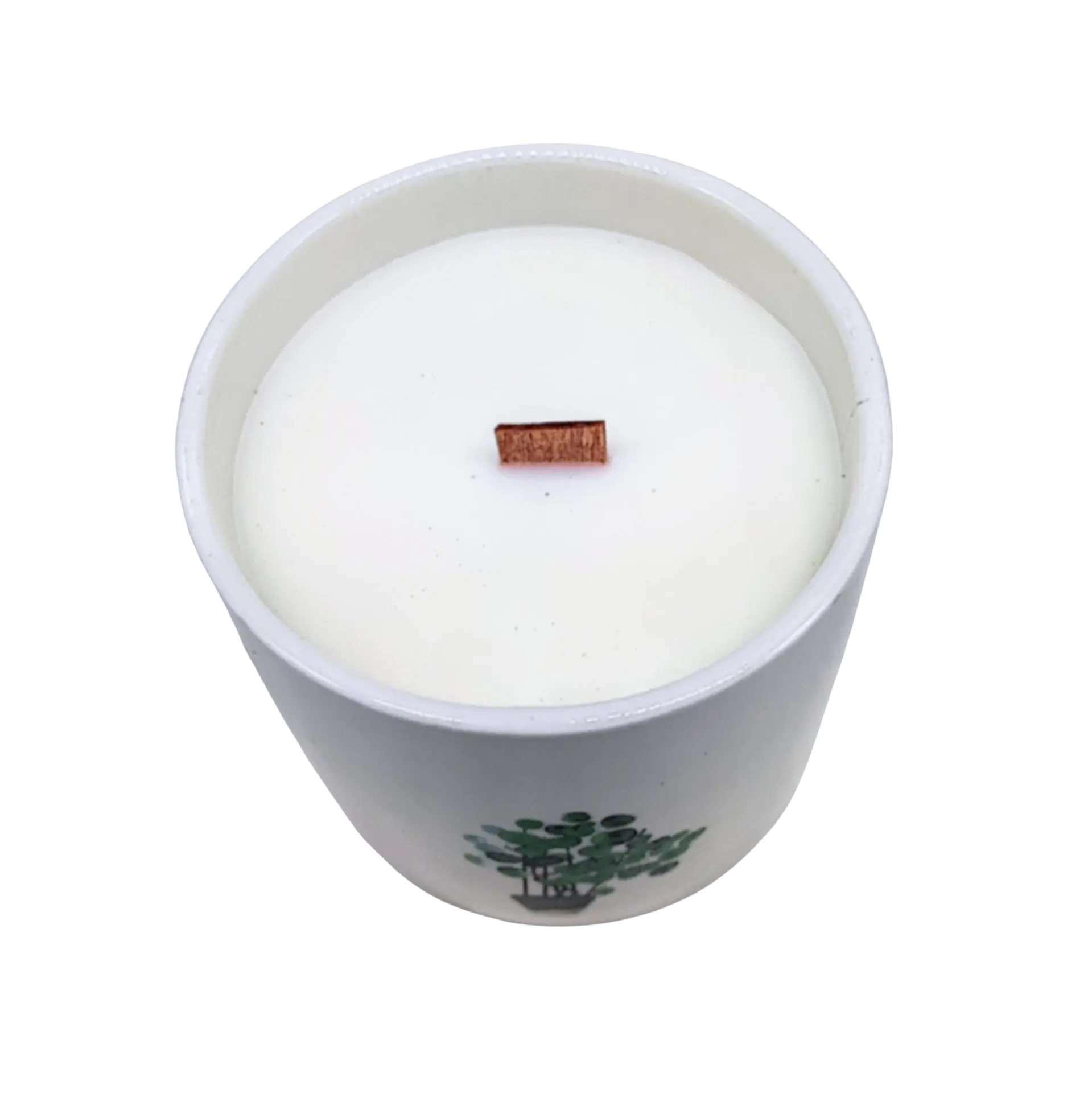 Soy Candle -Botanical Garden -Marsh Viola