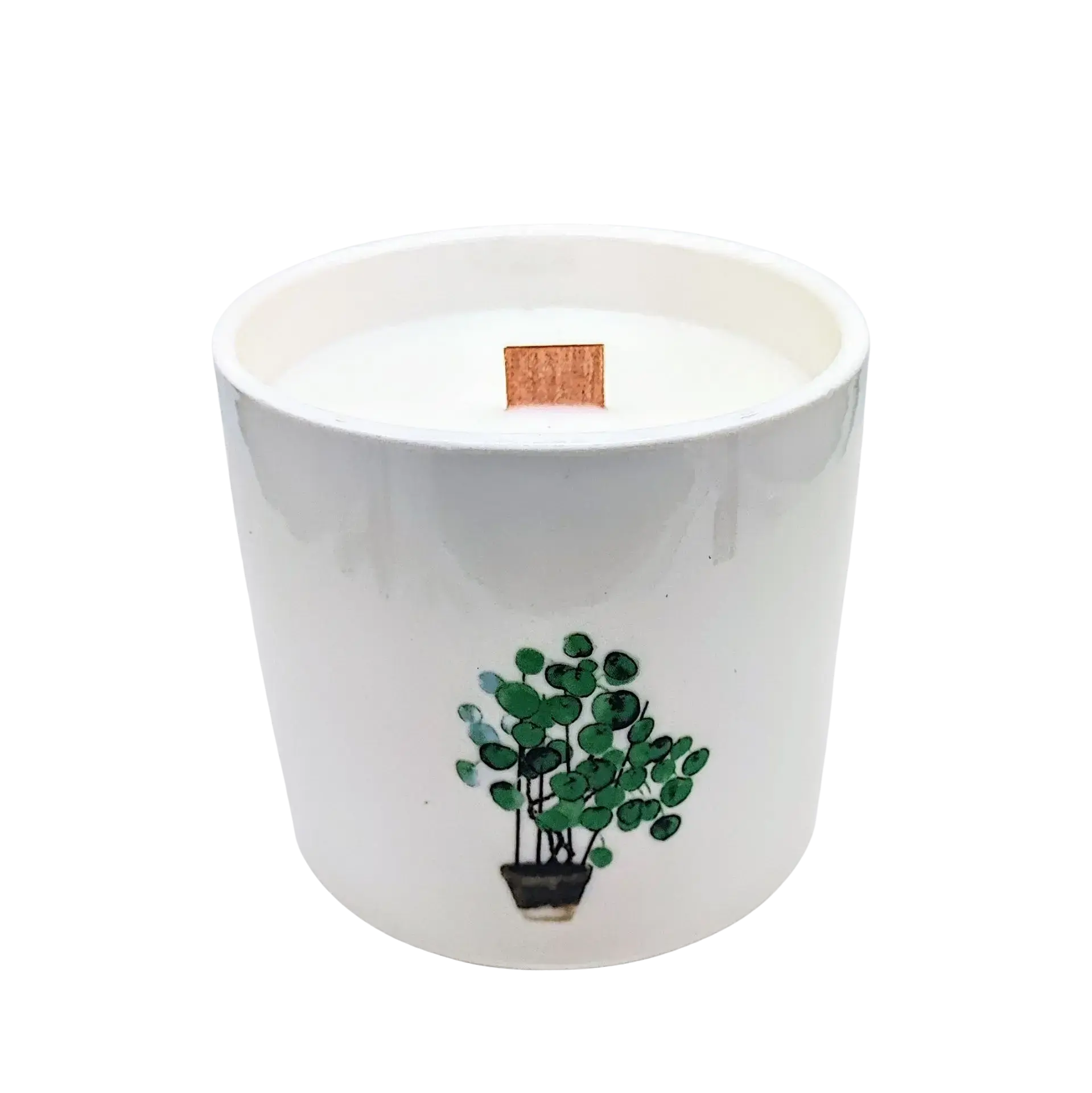 Scented Soy Candle - Botanical Garden - Lemon Honeysuckle -Soy Candle -Arômes & Évasions