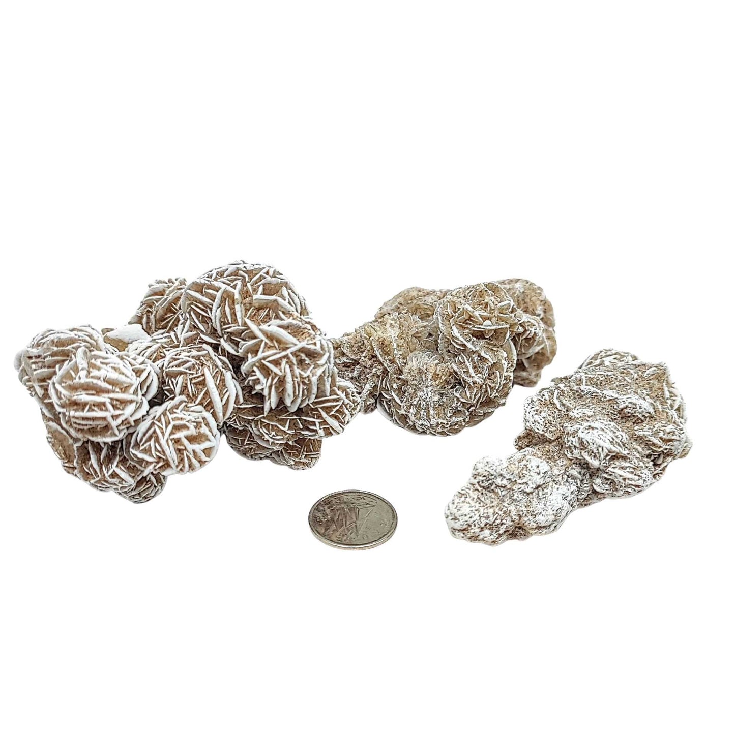 Stone -Desert Rose -Rough