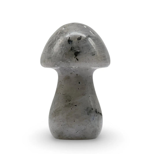 Stone - Labradorite - Sculpture - Mushroom -Blue Aventurine -Arômes & Évasions