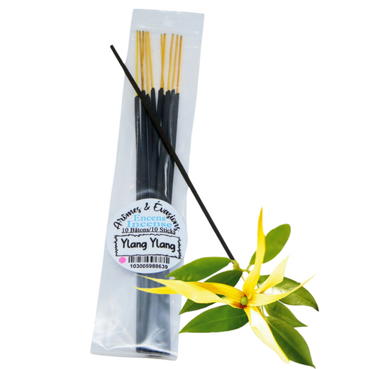 Bâtons d'Encens - Ylang Ylang - Paquet de 10