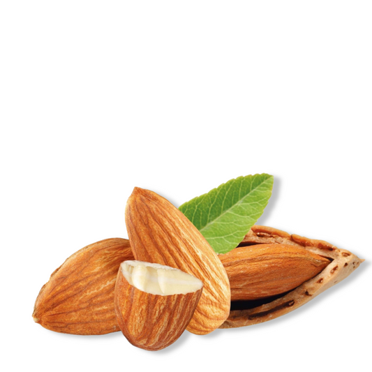 Fragrance Oil - Almond