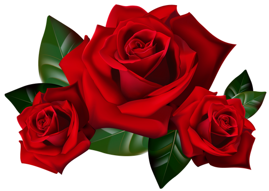 Fragrance Oil -Red Rose