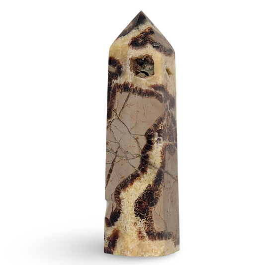 Stone - Crystal Point - Septarian - Tumbled - Arômes et Évasions