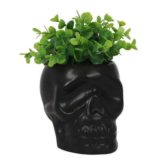 Black Skull Plant Pot - -Aromes Evasions 