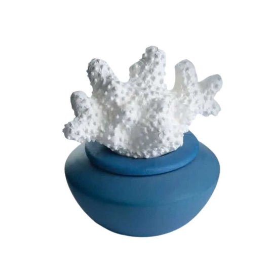 Diffuser -Natural -Coral Porcelain -Blue -Natural Diffuser -Aromes Evasions 