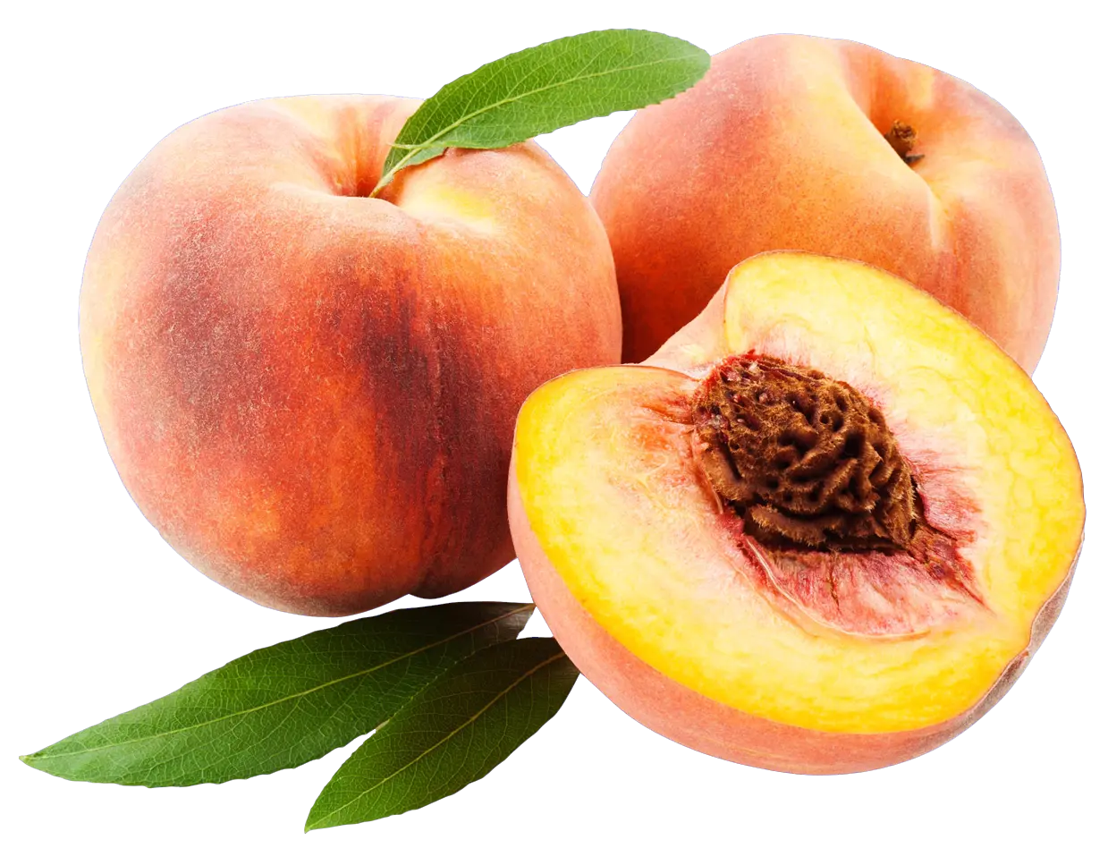 Essential Oil -Peach (Prunus Persica) -Fruity Scent -Aromes Evasions 