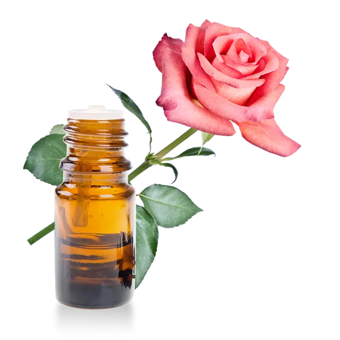 Essential Oil -Rose (Rosa Damascene) -Floral Scent -Aromes Evasions 