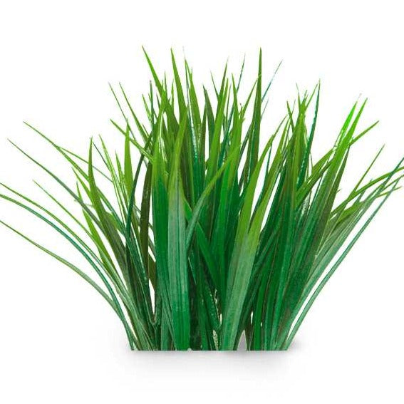 Essential Oil -Vetiver (Vetiveria Zizanoides) 500 ml