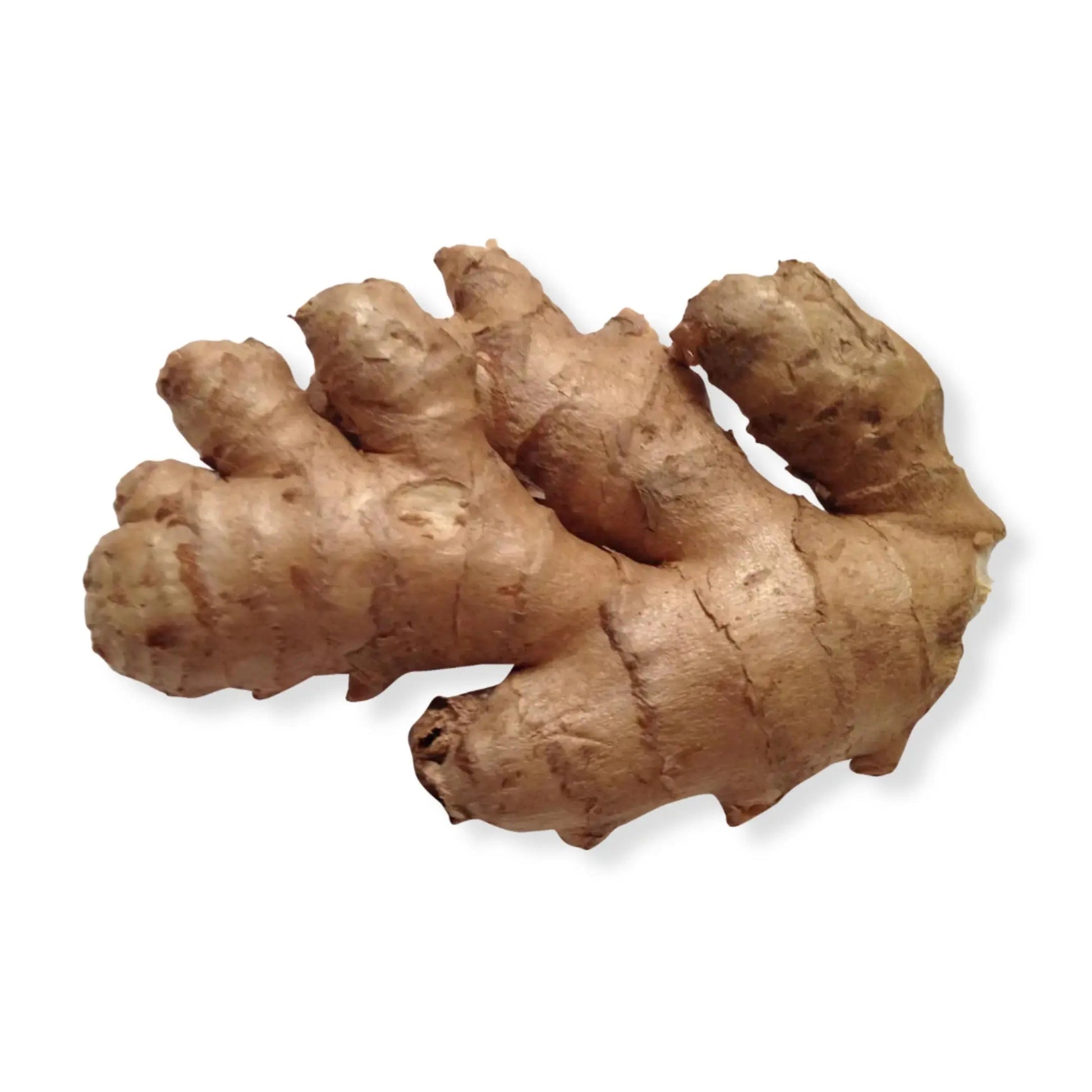 Essential Oil -Ginger (Zingiber Officinale) 500 ml