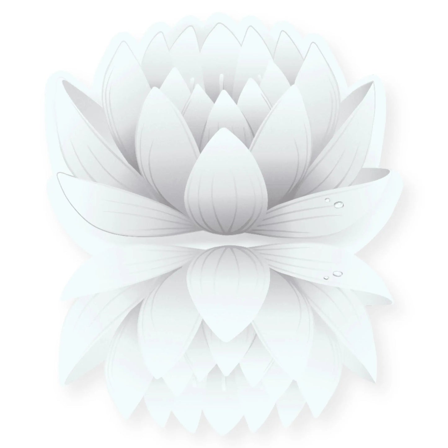 Essential Oil -White Lotus Absolute (Nelumbo Nucifera) -Floral Scent -Aromes Evasions