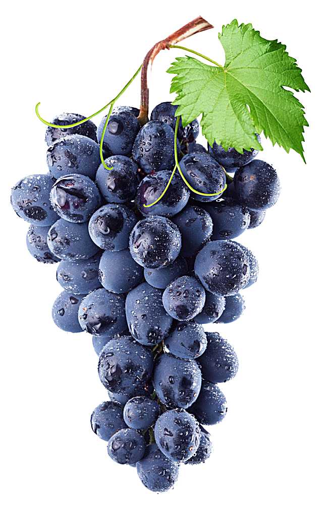 Flavor Oil -Grape