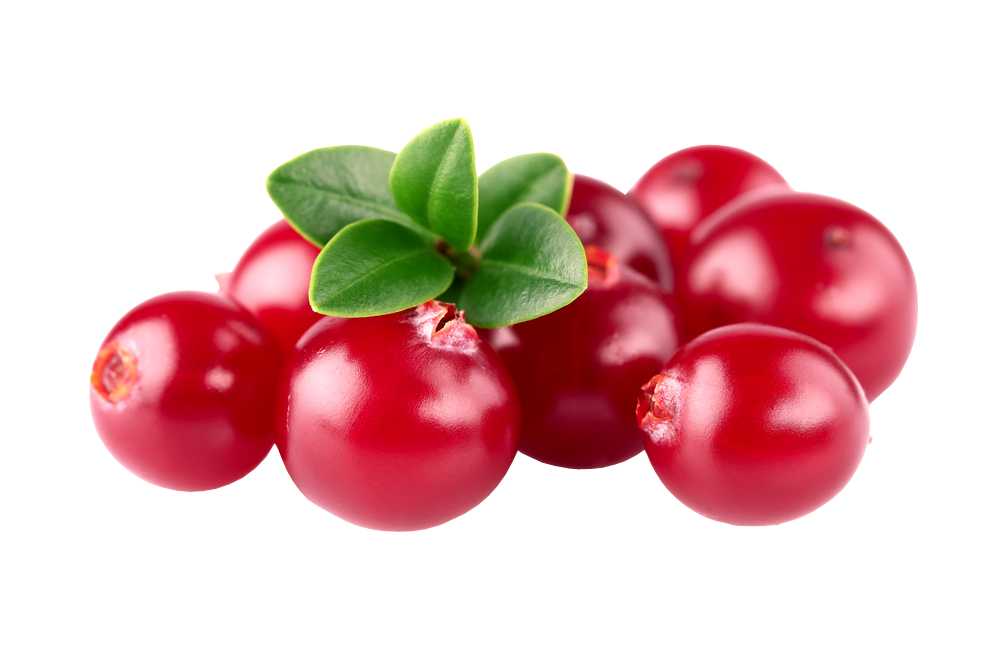 Fragrance Oil -Frosted Cranberry -Fruity Scent -Aromes Evasions 