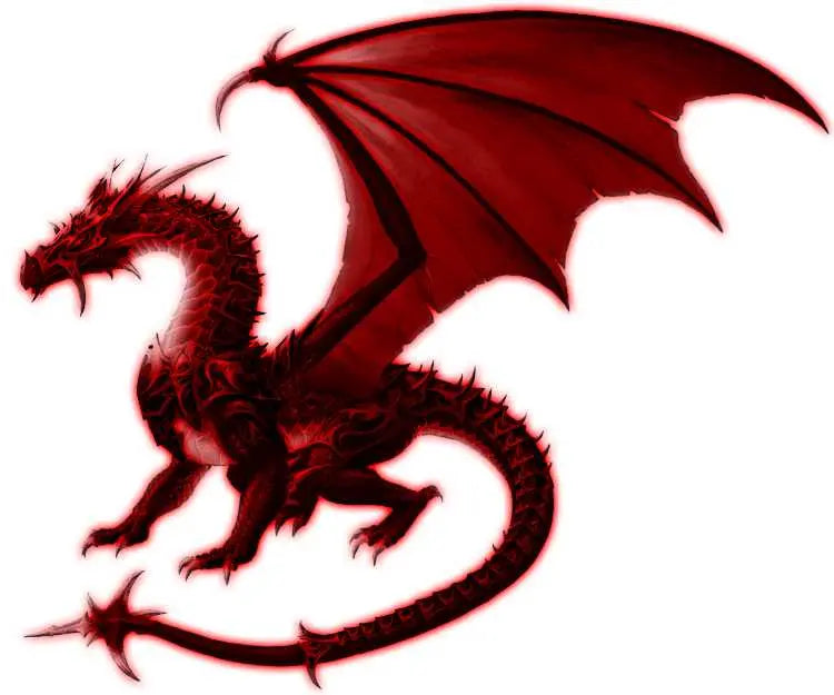 Fragrance Oil -Dragon's Blood Premium -Earthy Scent -Aromes Evasions