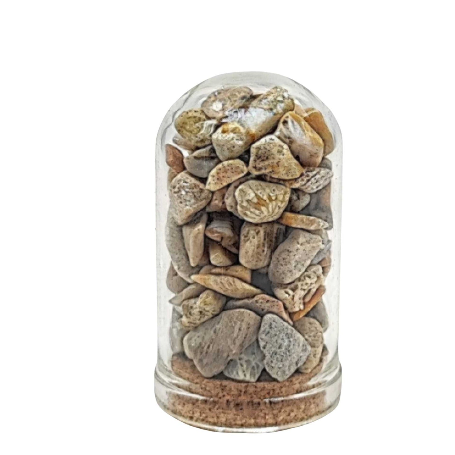 Home Decor -Small Decorative Bell -Fossil Coral -15ml -Gemstone Bell -Aromes Evasions 