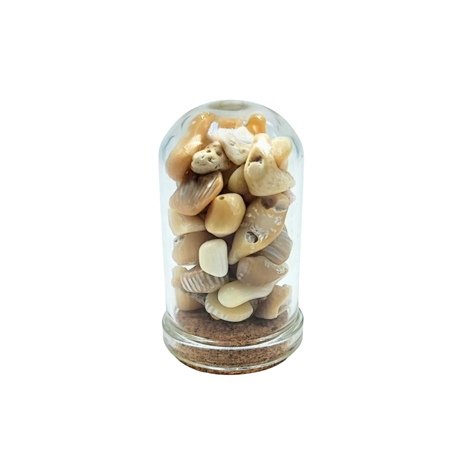 Home Decor -Small Decorative Bell -White Coral -15ml -Crystal Specimen -Aromes Evasions 