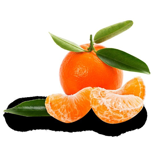 Incense Box -Tangerine -10 sticks Incense Aromes Evasions 