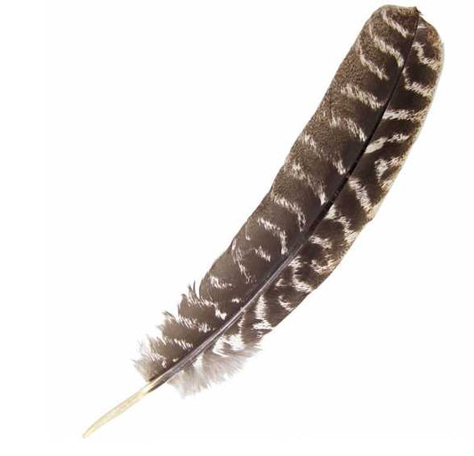 Smudging - Feather - Turkey