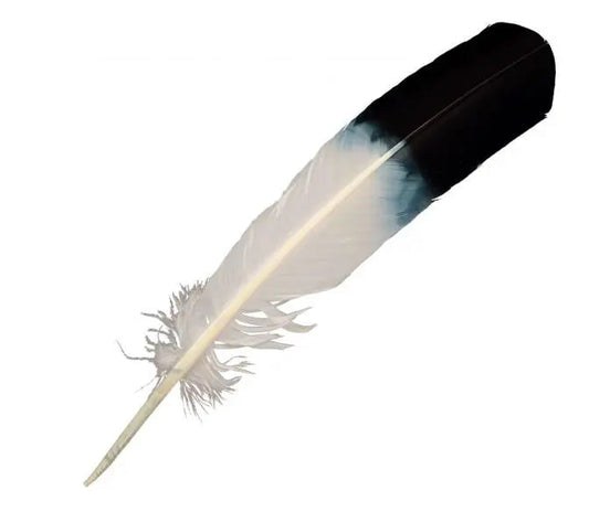 Smudging - Feather - Eagle
