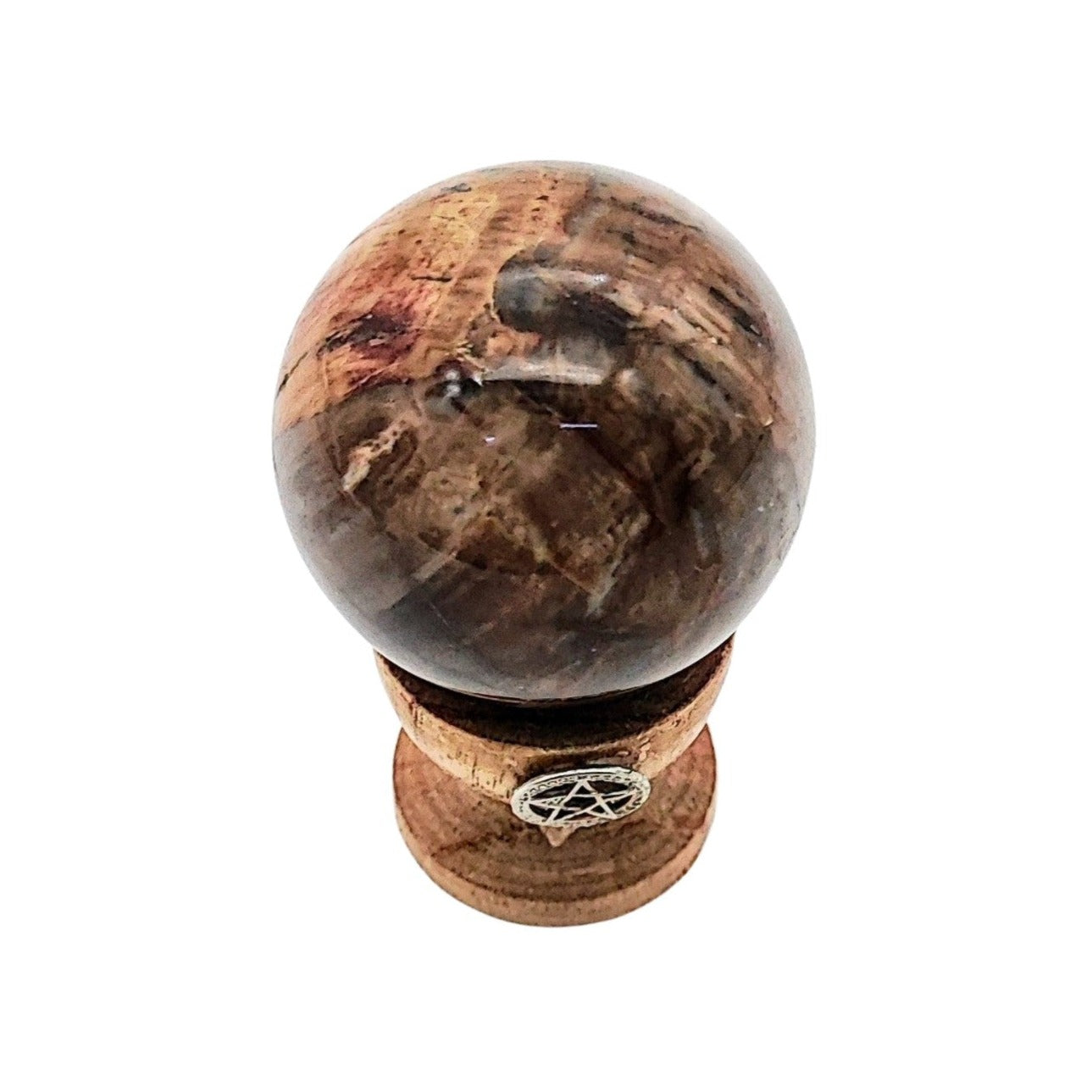 Sphere -Petrified Wood Stone -Madagascar Sphere Aromes Evasions 