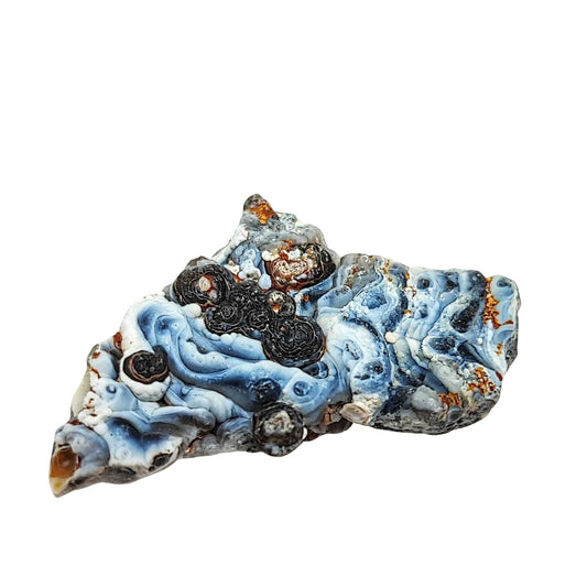 Stone - Agate Natural Druze - Shape Shell - Specimen