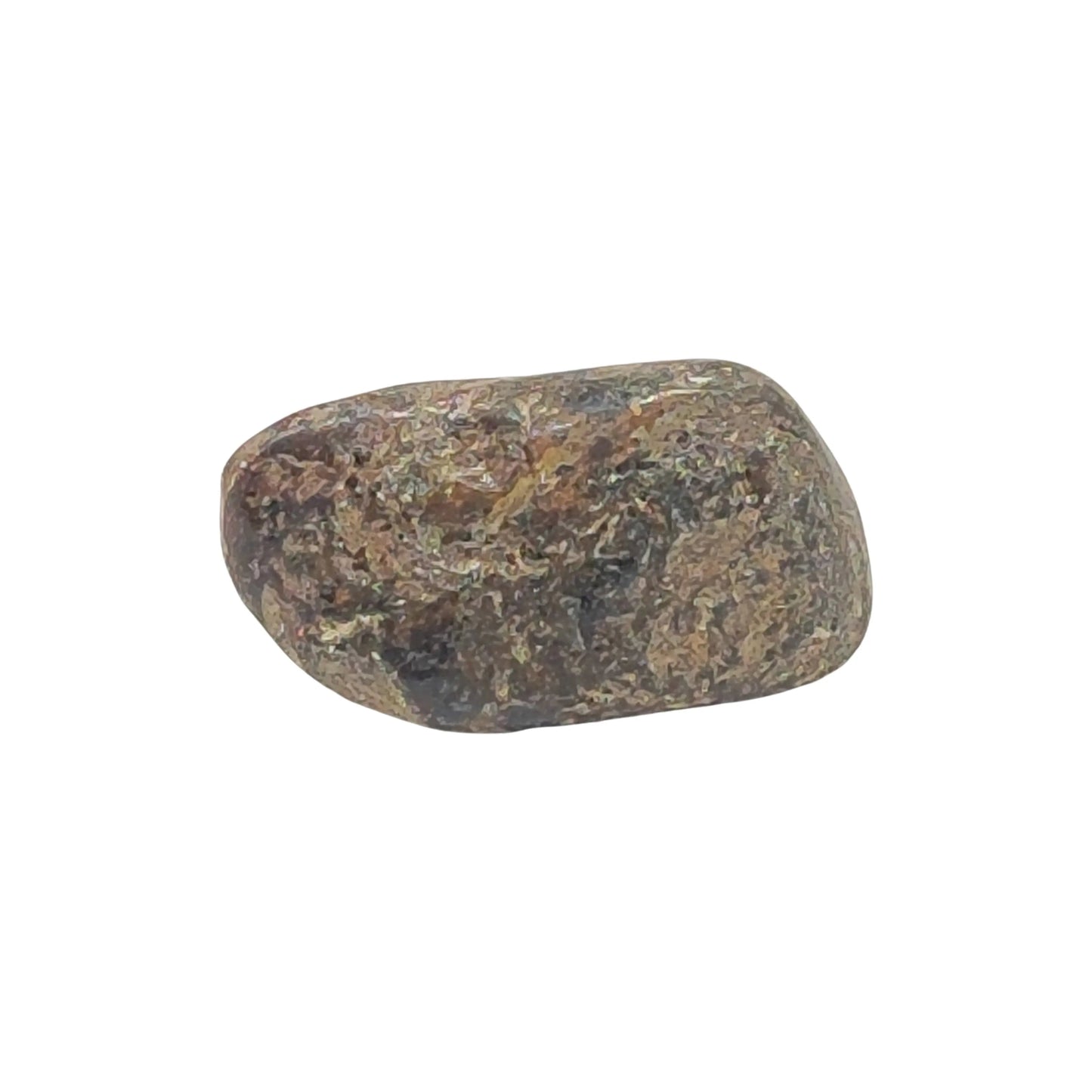Stone -Bronzite -Tumbled -Fossil Specimen -Aromes Evasions 
