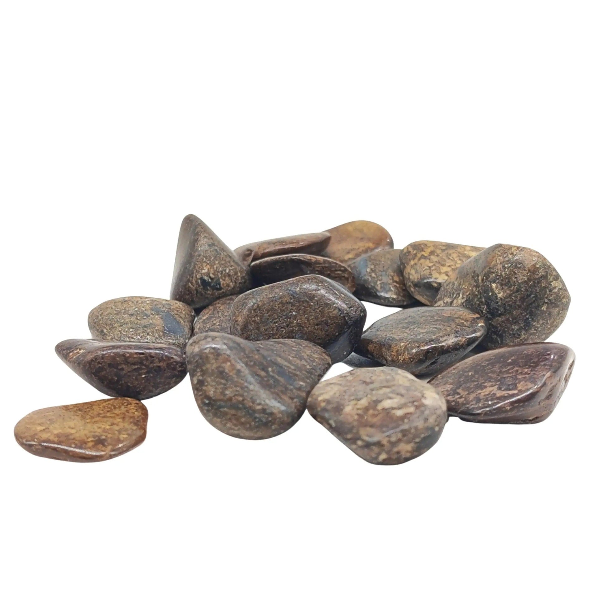Stone -Bronzite -Tumbled -Fossil Specimen -Aromes Evasions 