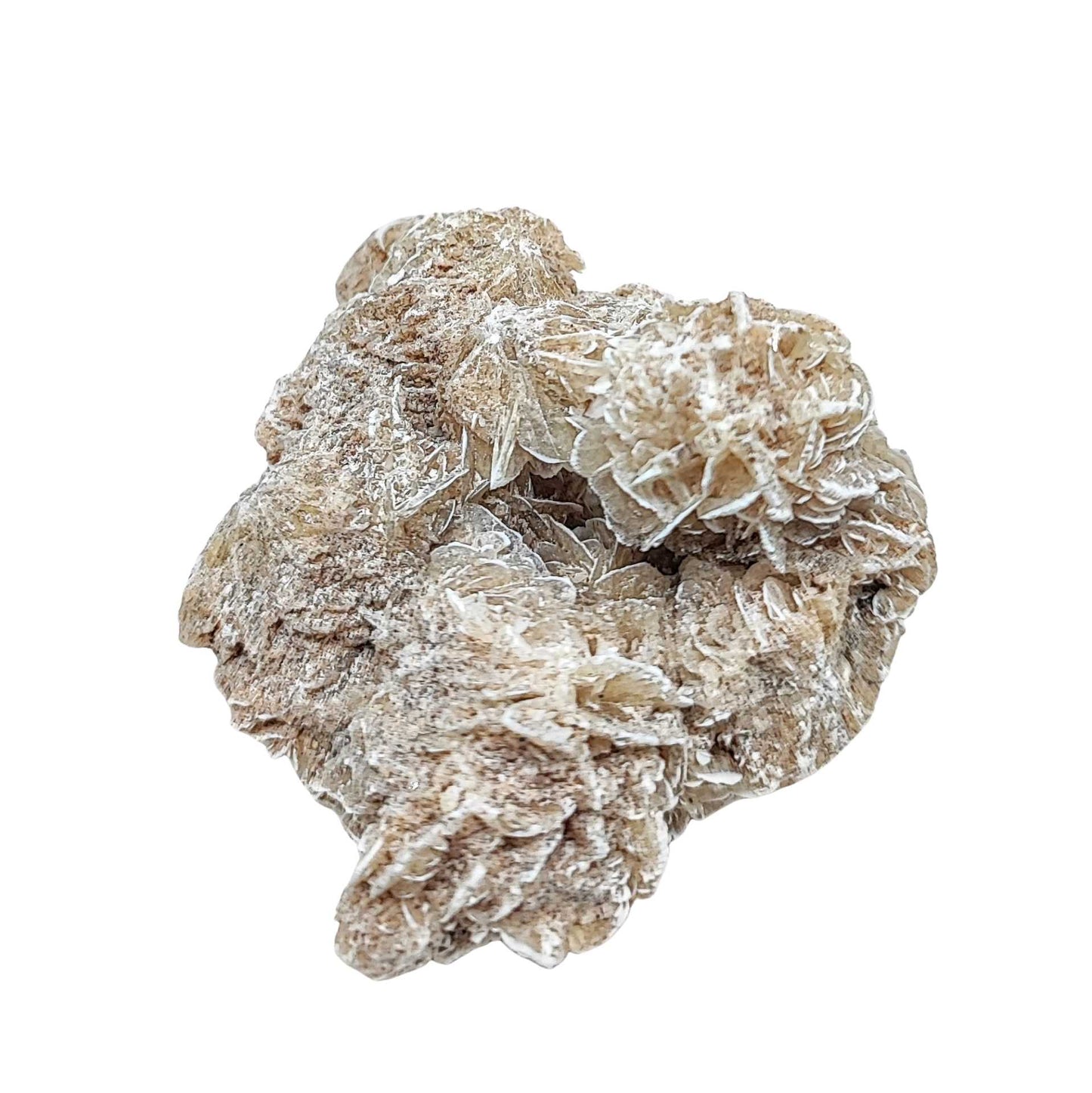 Stone -Desert Rose -Rough -Sold By the Gram -Aromes Evasions 