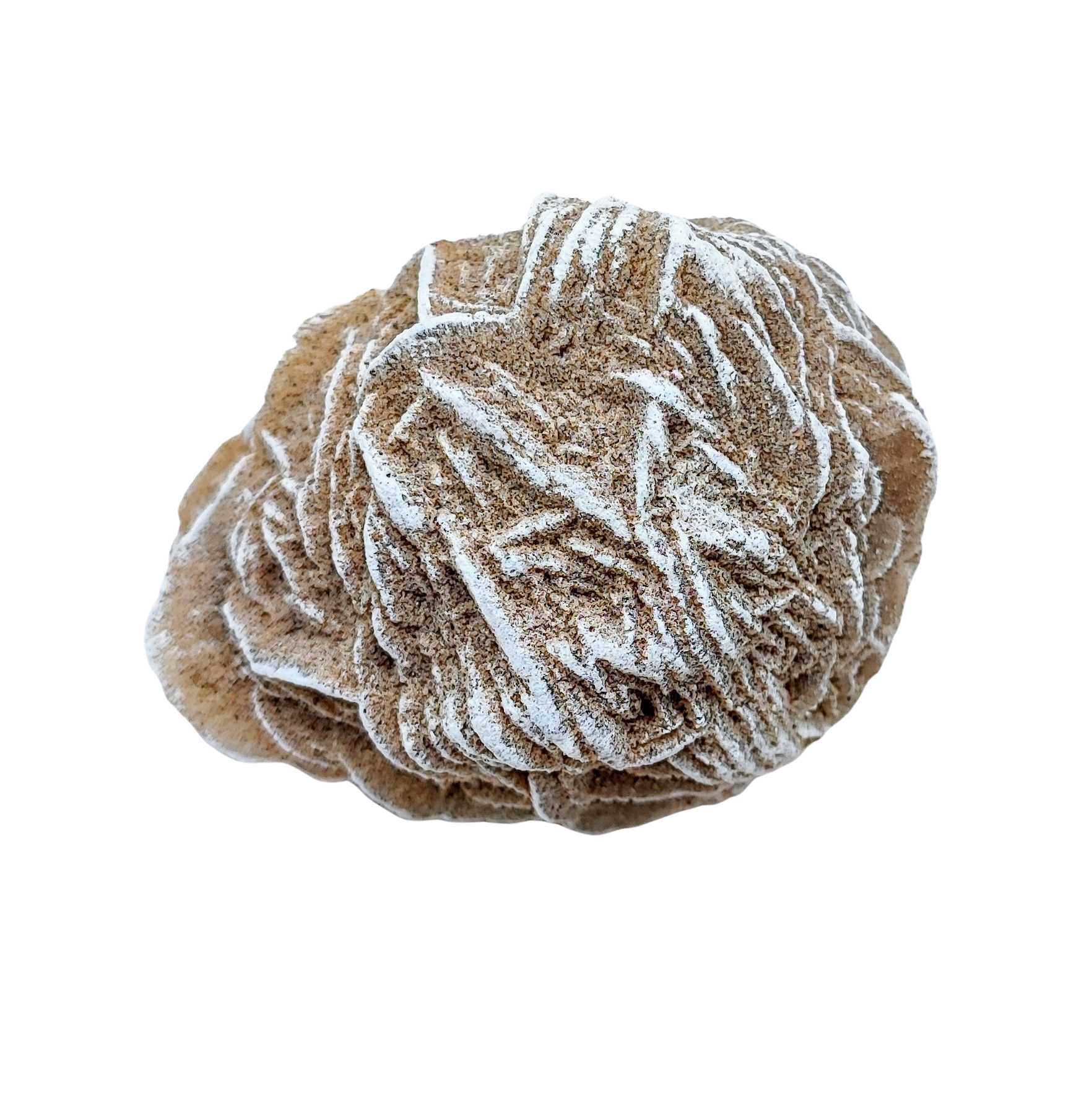 Stone -Desert Rose -Rough -Specimen -150g -Specimen -Aromes Evasions 