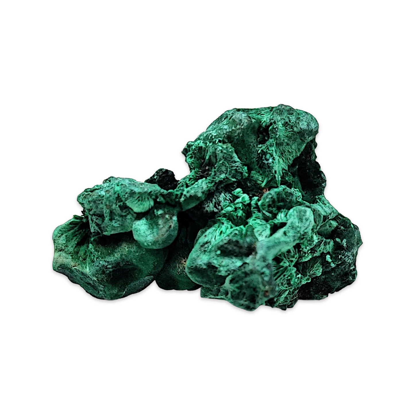 Stone -Fibrous Malachite -Rough -20g to 30g -Specimen -Aromes Evasions 