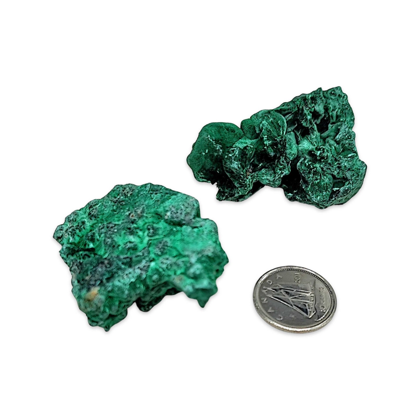 Stone -Fibrous Malachite -Rough -20g to 30g -Specimen -Aromes Evasions 