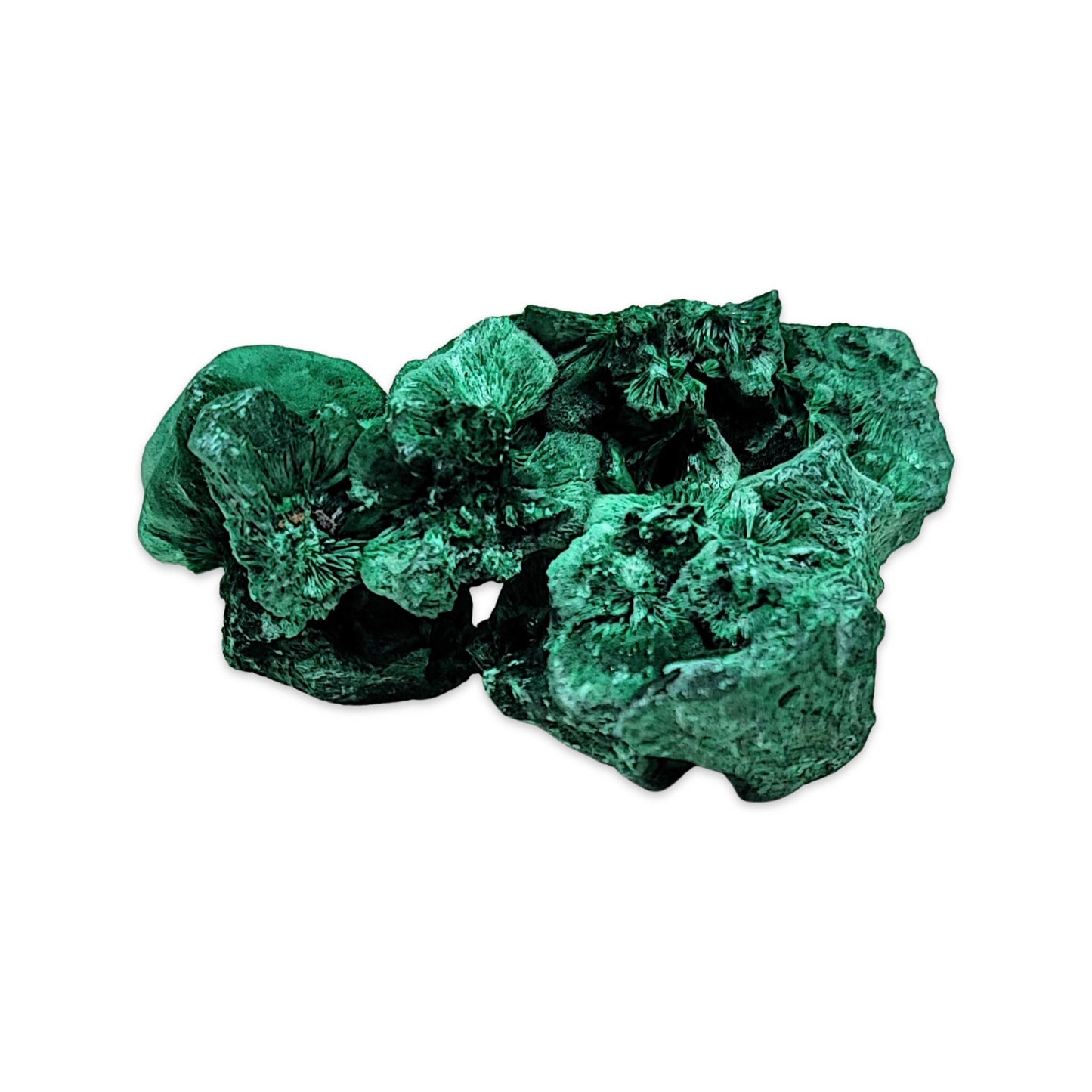 Stone -Fibrous Malachite -Rough -20g to 30g -Specimen -Aromes Evasions 